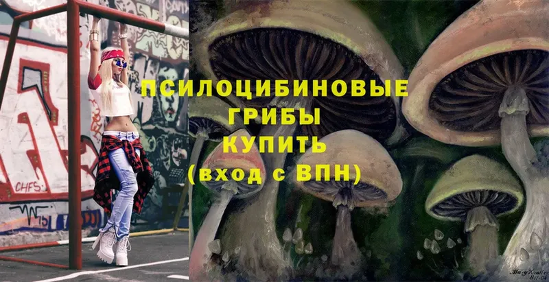 где продают наркотики  Жигулёвск  Галлюциногенные грибы Psilocybe 